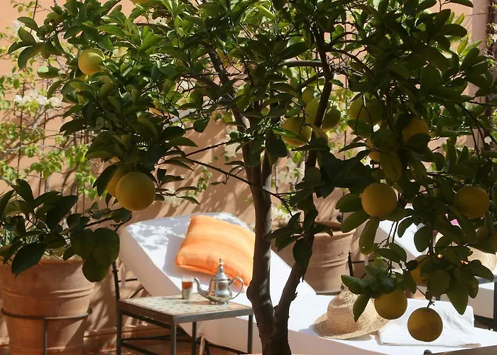 Riad Andalouse Marrakesh