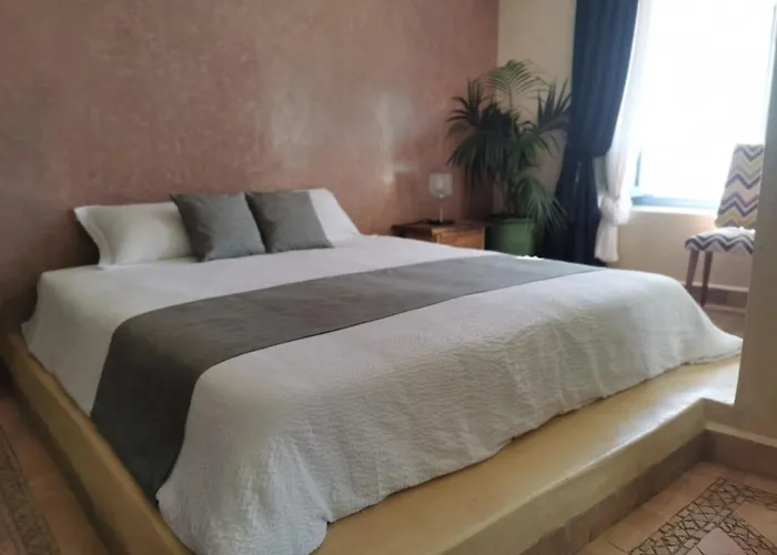 Auberge de jeunesse Teddy Pirate - Coliving à Taghazout acceptant les animaux