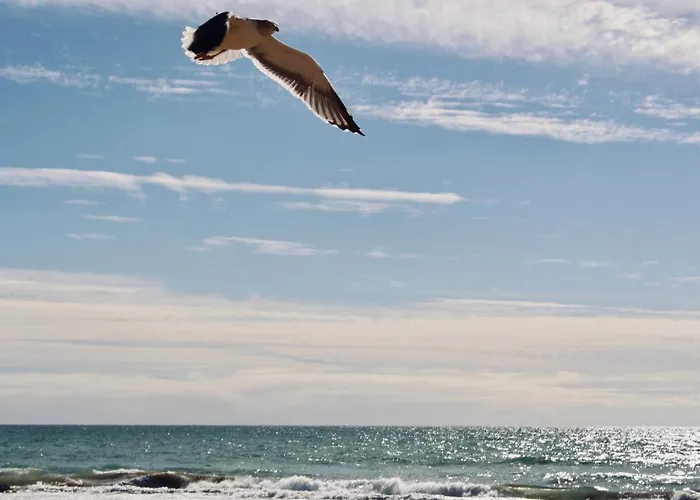 Atlas Wonders Coworking Surf Camp Taghazout