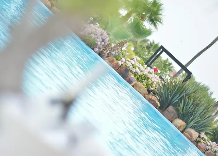 Hotels in Marina Smir