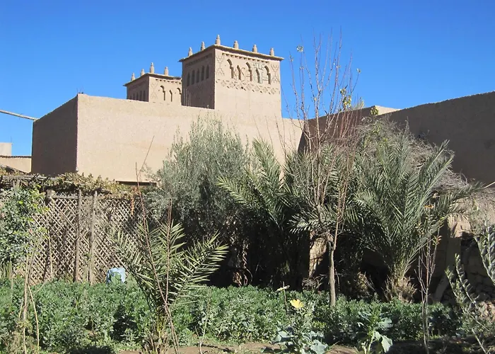 Gite Kasbah La Palmeraie Skoura