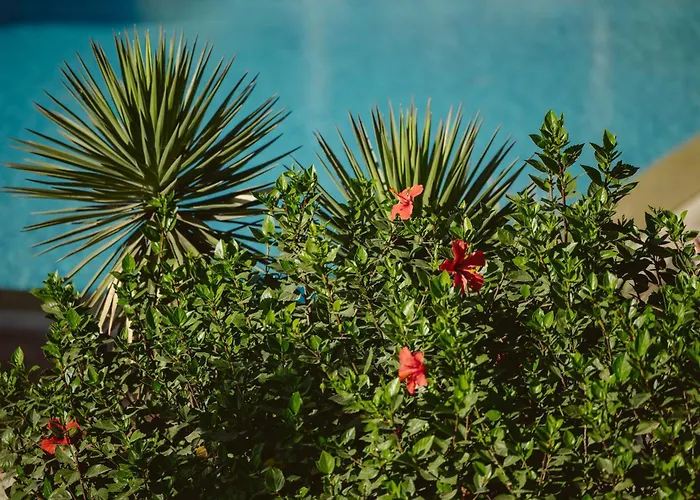 5 meilleures Chambres d'hôtes à Agadir