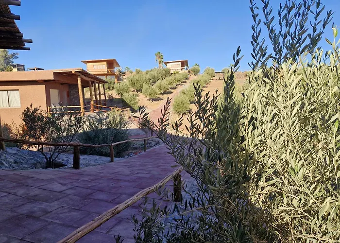 Le Parc Des Oliviers Ecolodge Hrabil Saâda