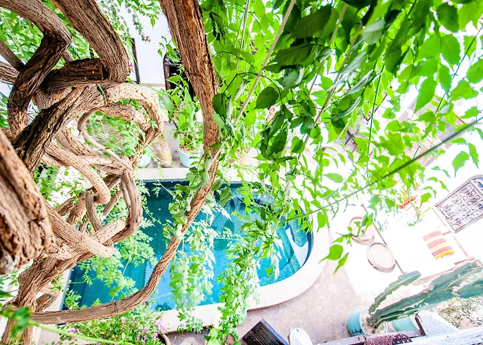 Hotel & Spa Riad Dar El Aila Marrakesh
