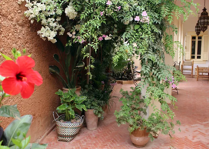 Tilily Home And Garden Mirleft