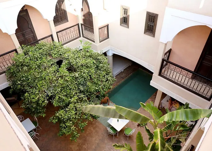 Riad L'Oiseau Du Paradis Marrakesh